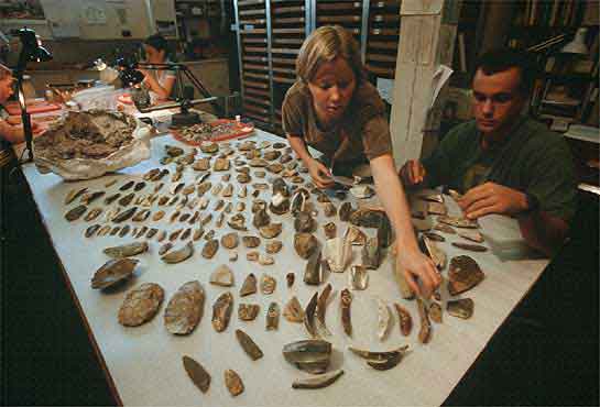 Materiales Pre-Clovis, Texas Archaeological Laboratory